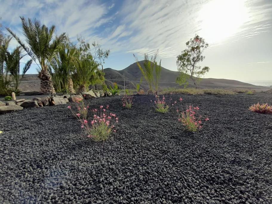 Villa Casagrande Sunset II - Fuerteventura - Costa Calma Pájara Exterior foto